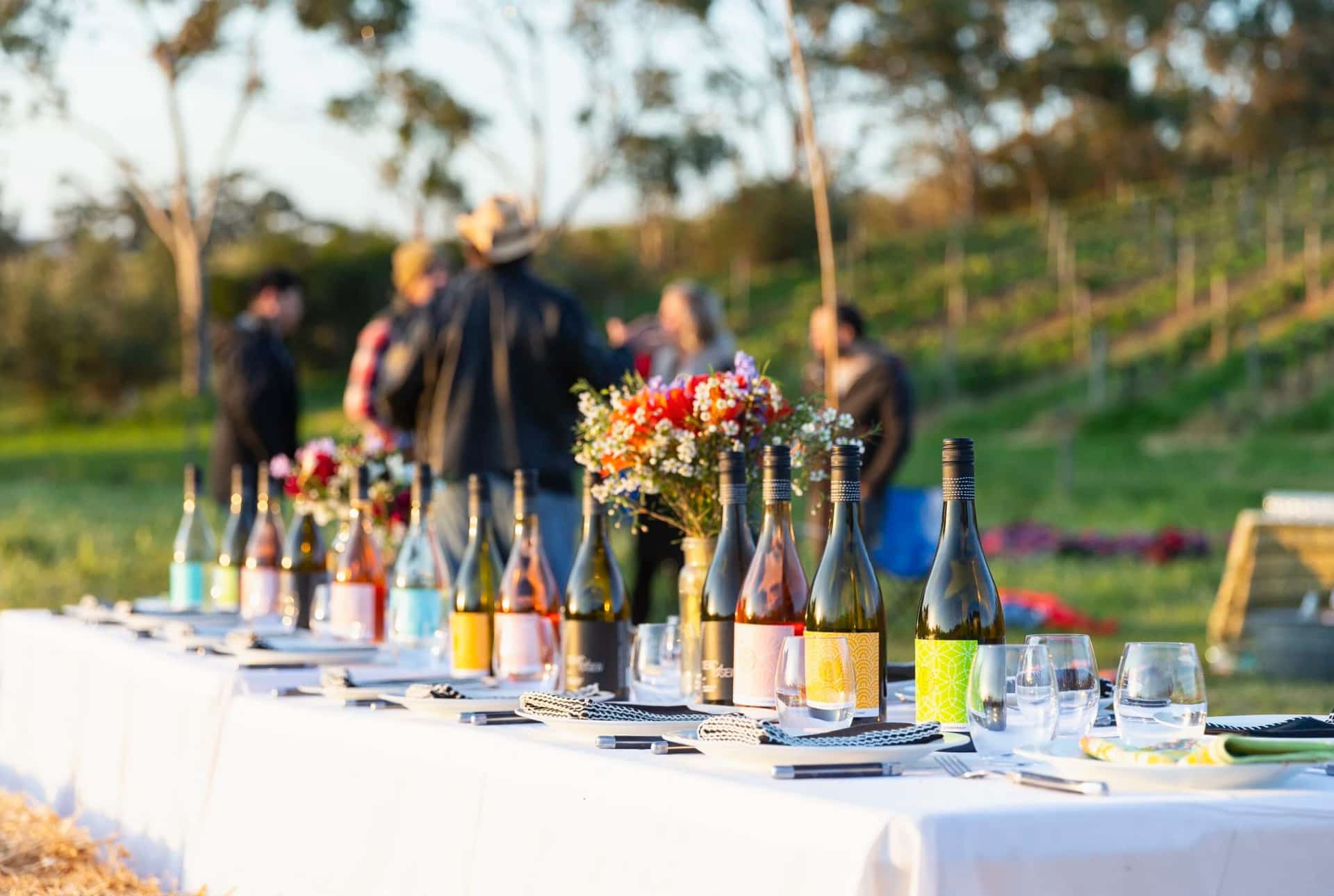 A long table set with the Sashiko range at golden hour among the vines at The Range